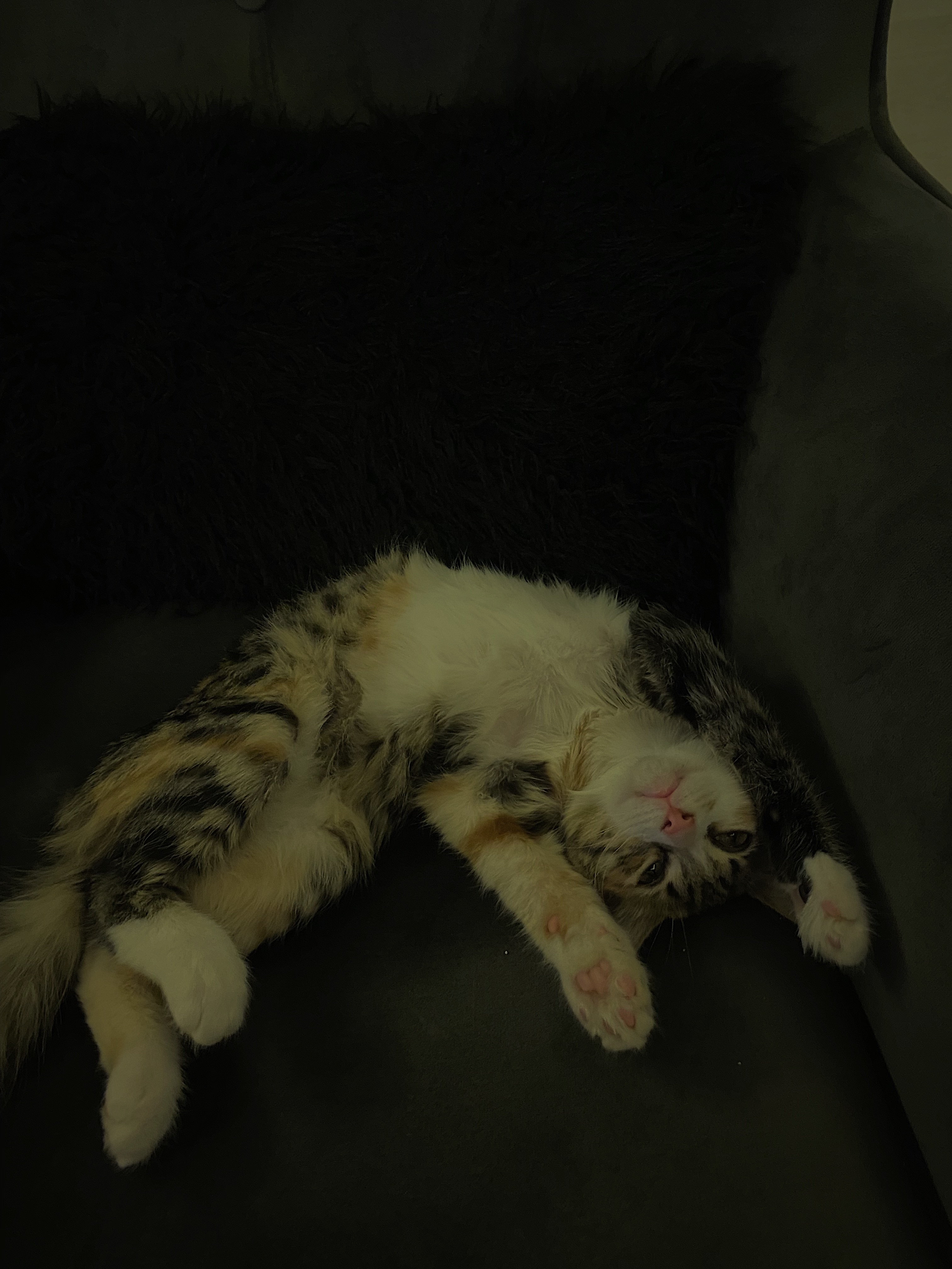 img2