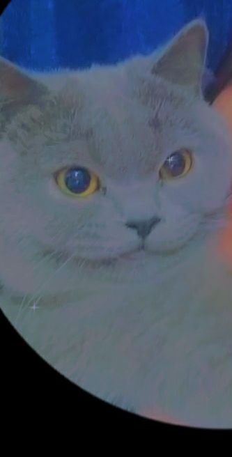 img2