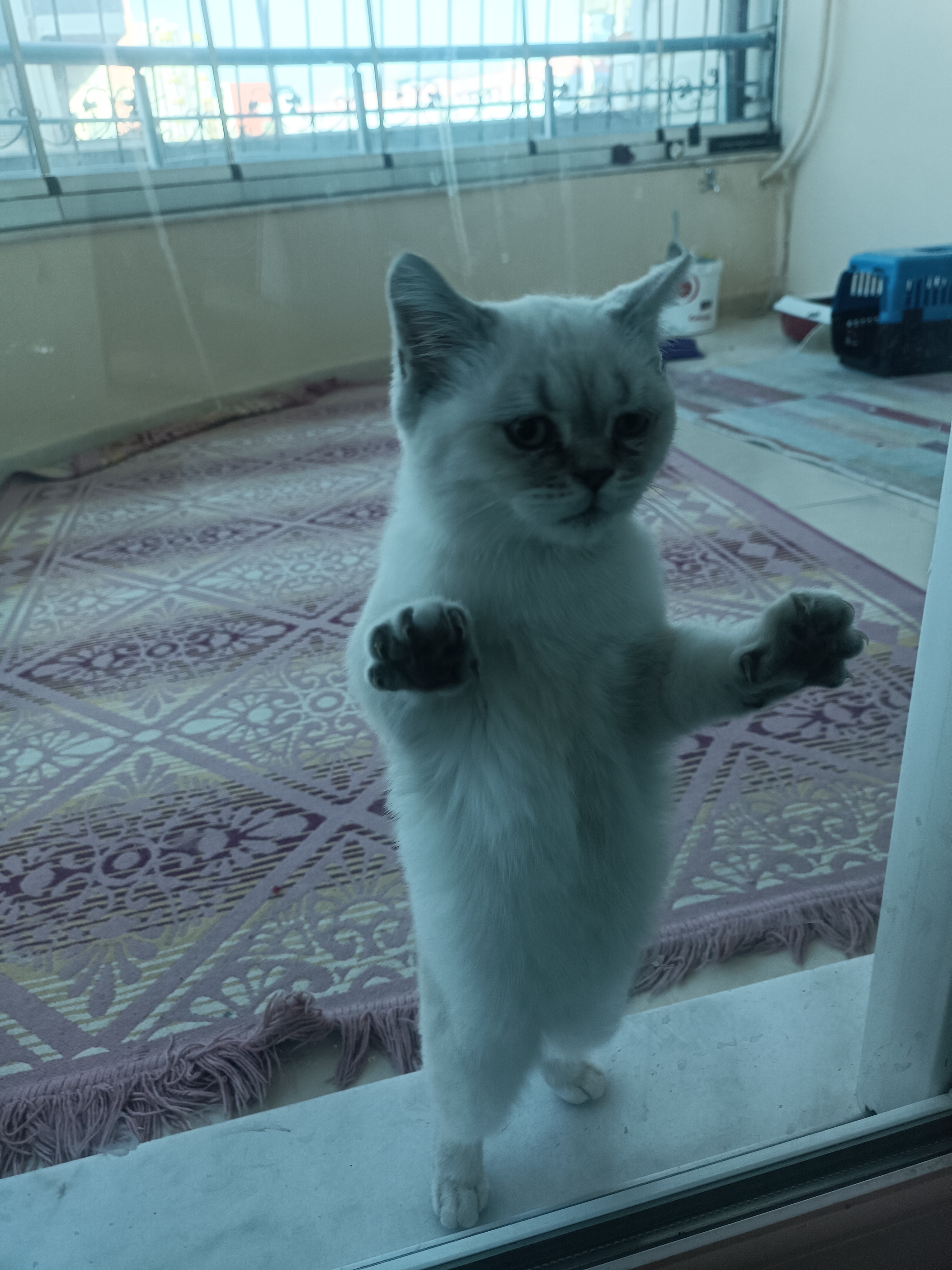 img2