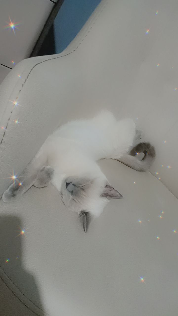 img2